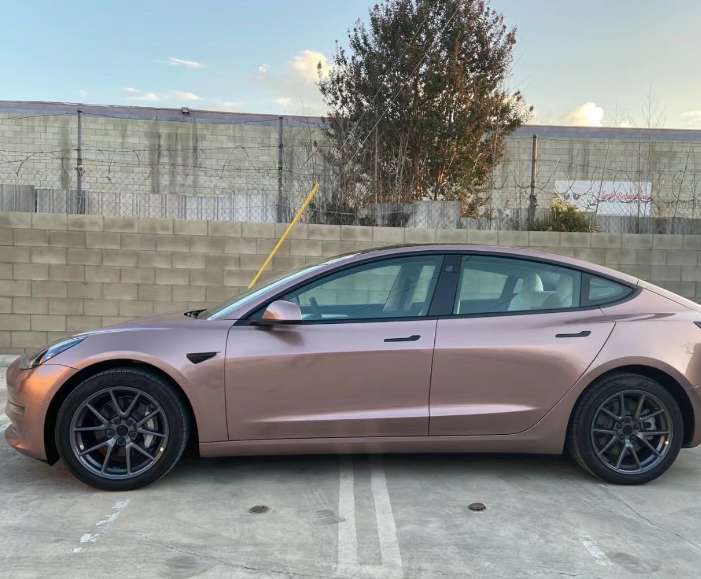 Ravoony Plus Glossy Frozen Berry Wrap review Brianne Havniear 01