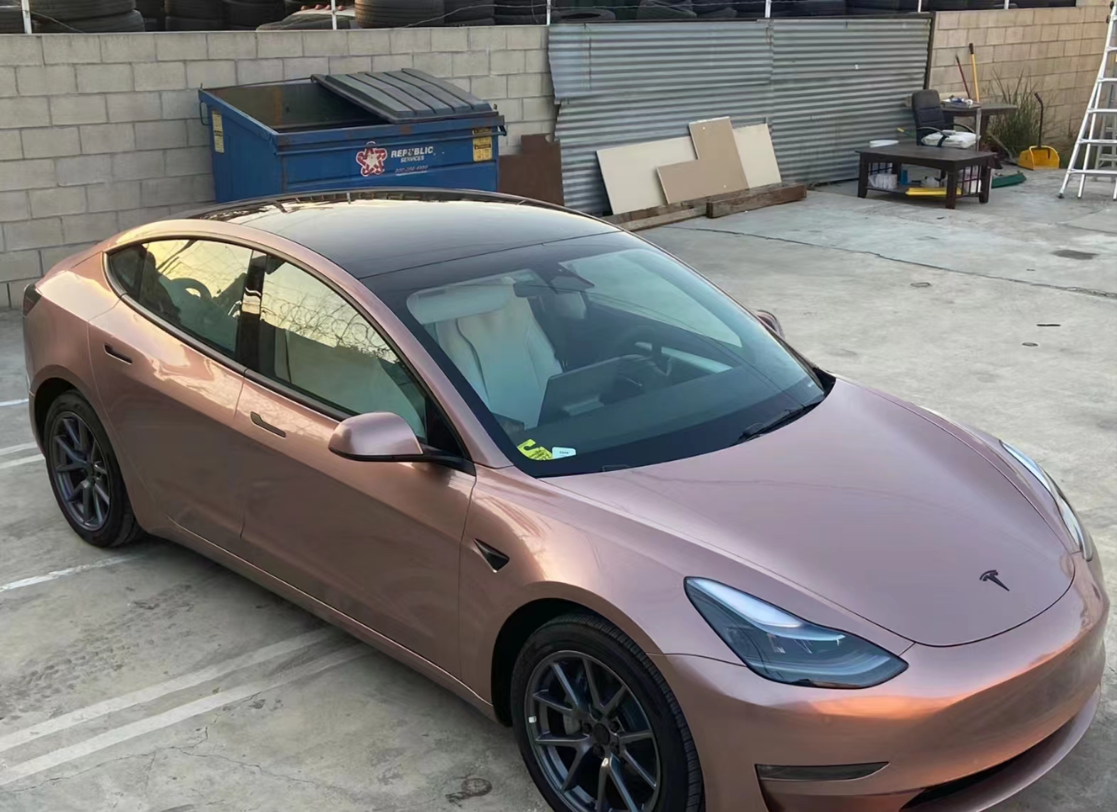 Ravoony Plus Glossy Frozen Berry Wrap review Brianne Havniear 02