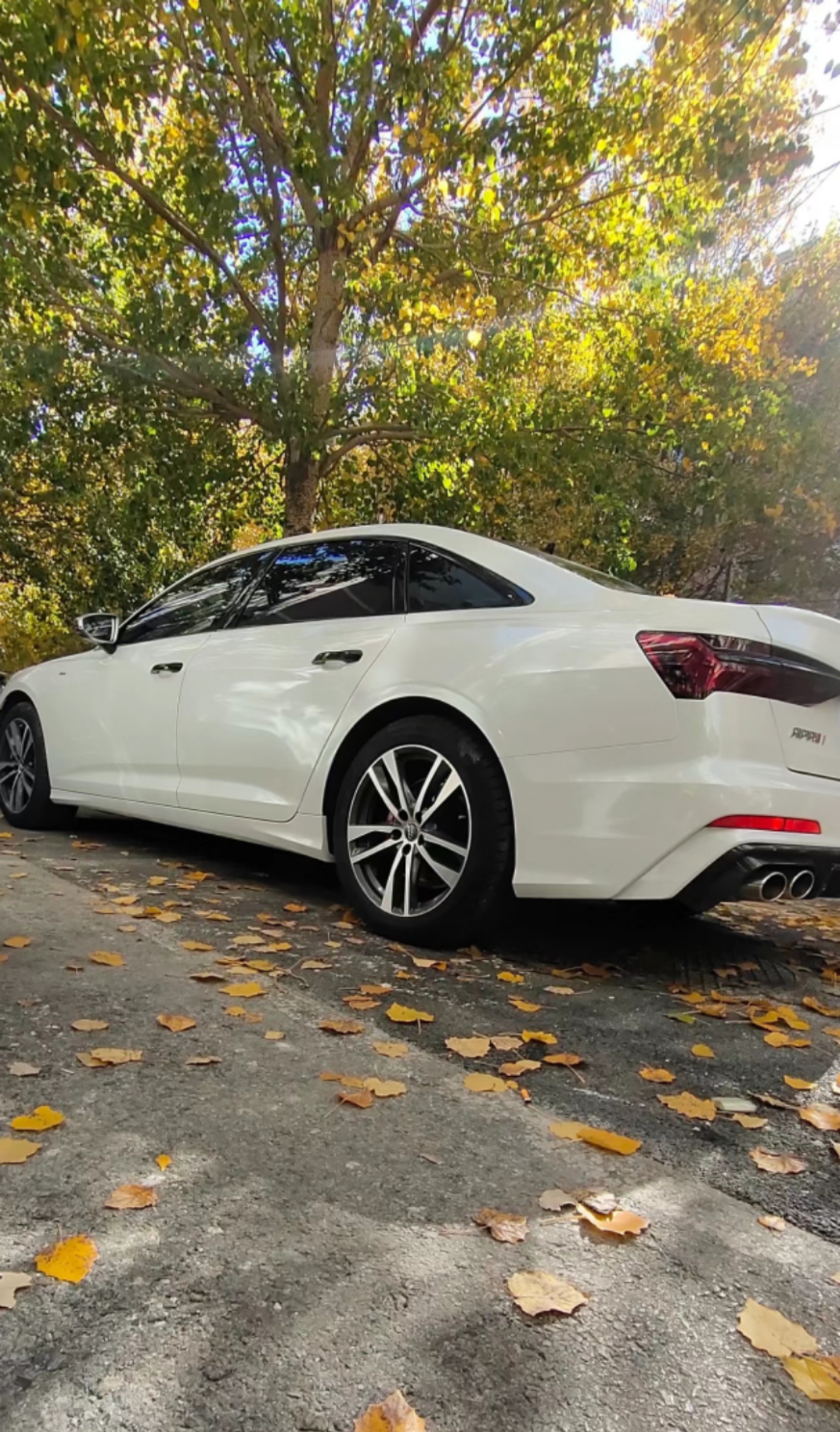  Ravoony Plus Glossy Metal Paint White Car Wrap review Henry Bako