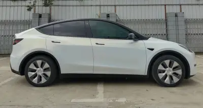  Ravoony Plus Glossy White to Gold Car Wrap review Molly Geist