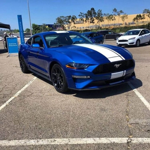 Ravoony Plus Gloss Metallic Blueberry Blue Vinyl Car Wrap review 