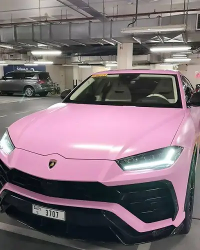 Ravoony Plus Matte Ceramic Barbie Pink Vinyl Car Wrap review Matthew Winters