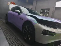 Ravoony Plus Twin Candy Purple Green Car Wrap review 0