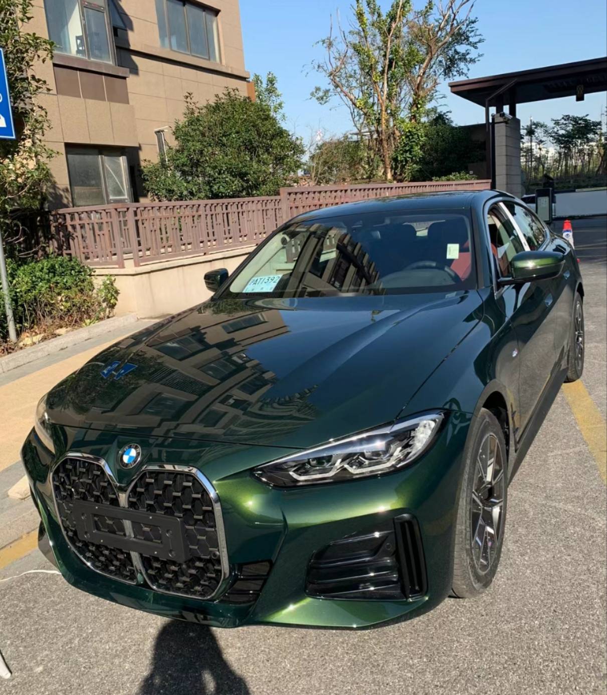 Ravoony Plus Blackish Green Car Vinyl Wrap review Sarah frantz 01