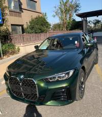 Ravoony Plus Blackish Green Car Vinyl Wrap review 1