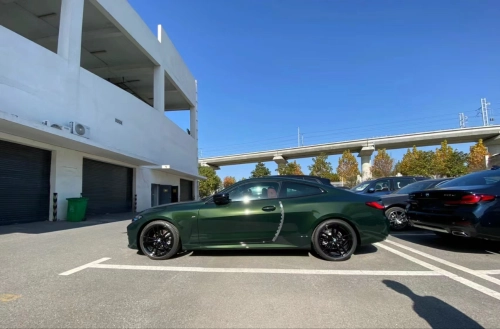 Ravoony Plus Blackish Green Car Vinyl Wrap review 