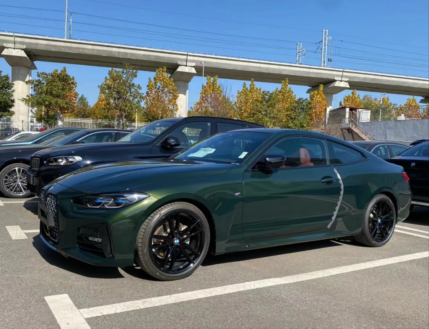 Ravoony Plus Blackish Green Car Vinyl Wrap review Will Gromadzki 01