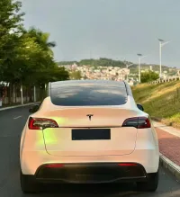 Ravoony Plus Matte Aurora White Car Vinyl Wrap review 2