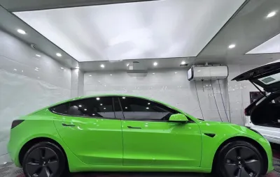  Ravoony Plus Lime Green Vinyl Wrap review Ana Gardea 00