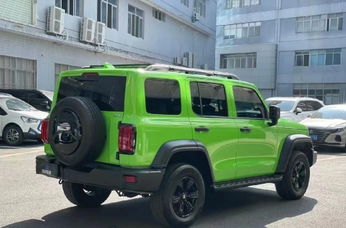 Ravoony Plus Lime Green Vinyl Wrap review 