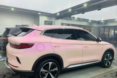 Ravoony Plus Twin Magic Pink Car Vinyl Wrap review Riley Schueler