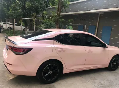 Ravoony Plus Twin Magic Pink Car Vinyl Wrap review Joseph Graf