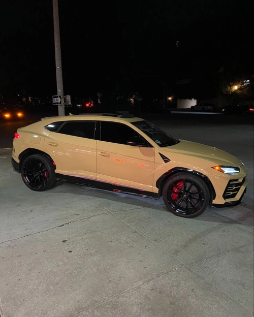 Ravoony Plus PET Gloss Sandstorm Car Wrap review 