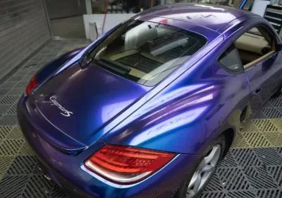 Ravoony Plus Purple And Blue Chameleon Car Wrap review Maxwell Kluznik