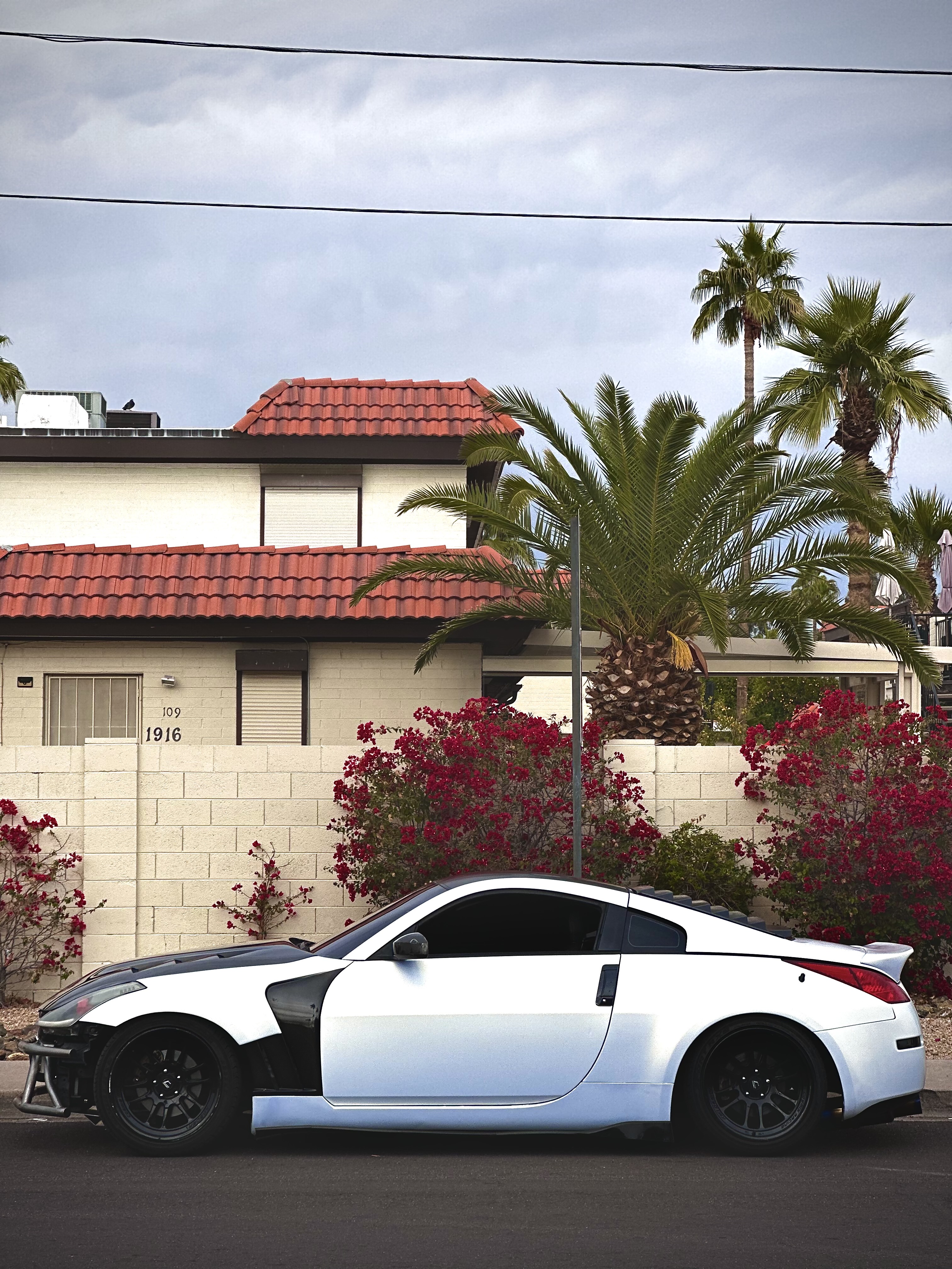    Ravoony Plus Satin Ceramic White to Gold Car Wrap review Odeesho 00