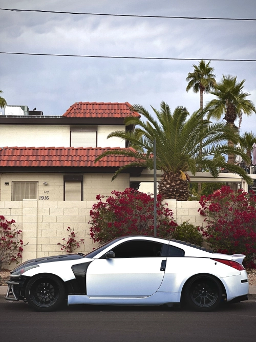    Ravoony Plus Satin Ceramic White to Gold Car Wrap review 