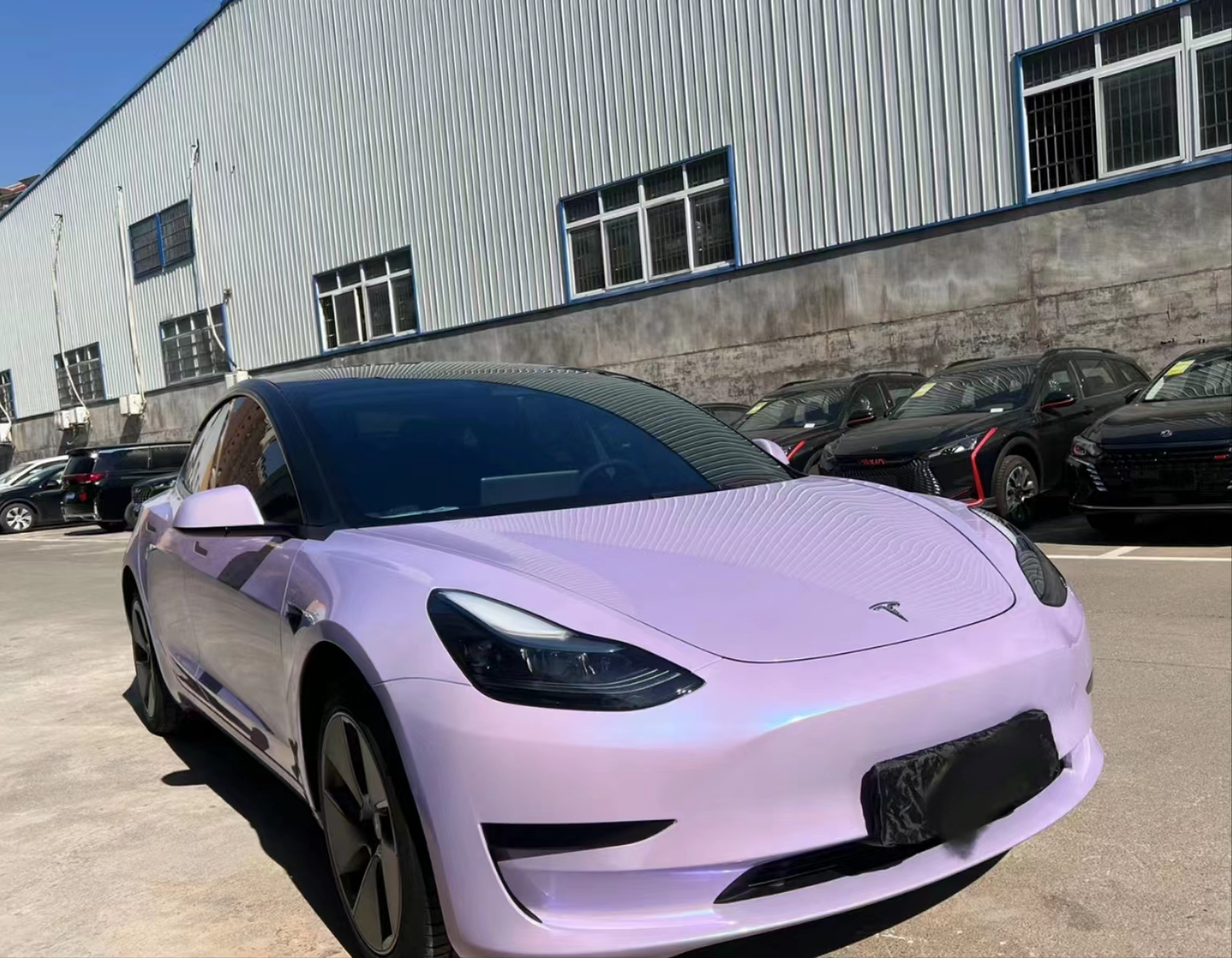 Ravoony Plus Glossy Twin Silver Purple Car Vinyl Wrap review Riley Sterling 00