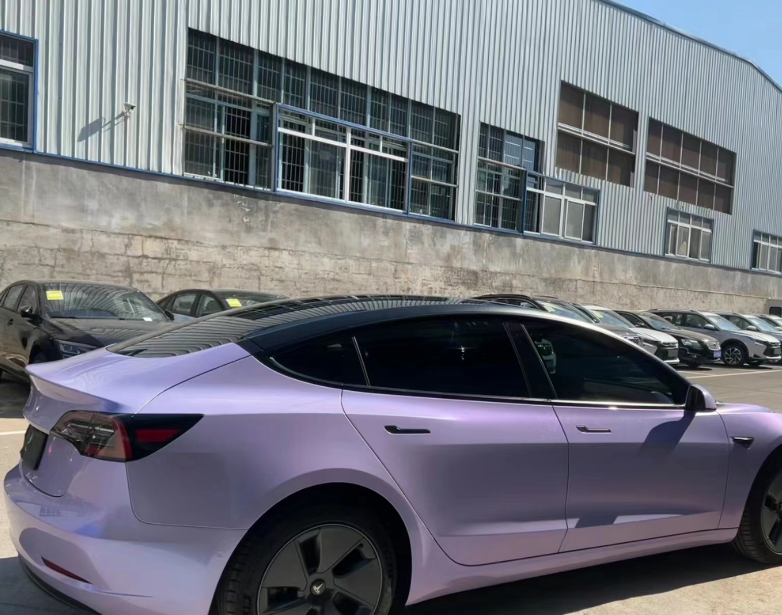 Ravoony Plus Glossy Twin Silver Purple Car Vinyl Wrap review Riley Sterling 01