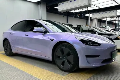 Ravoony Plus Twin Silver Purple Car Vinyl Wrap review Peggy McCann 00