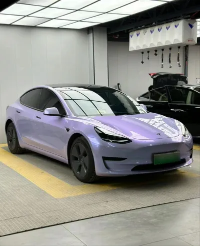 Ravoony Plus Twin Silver Purple Car Vinyl Wrap review Peggy McCann 01