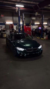 Ravoony Plus Blackish Green Car Vinyl Wrap review mia young