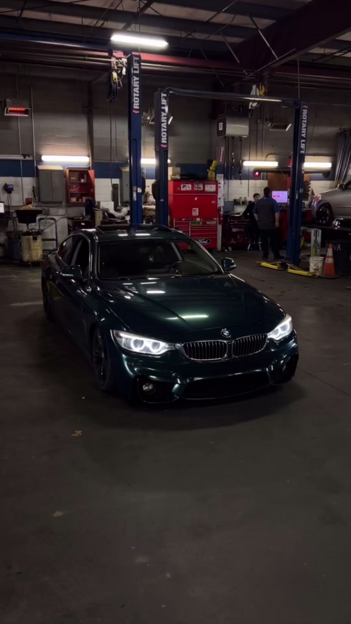 Ravoony Plus Blackish Green Car Vinyl Wrap review mia young