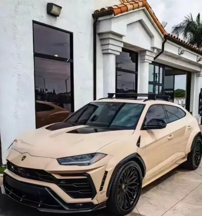 Ravoony Basic Gloss Sandstorm Car Wrap review Emily Salbidrez 00
