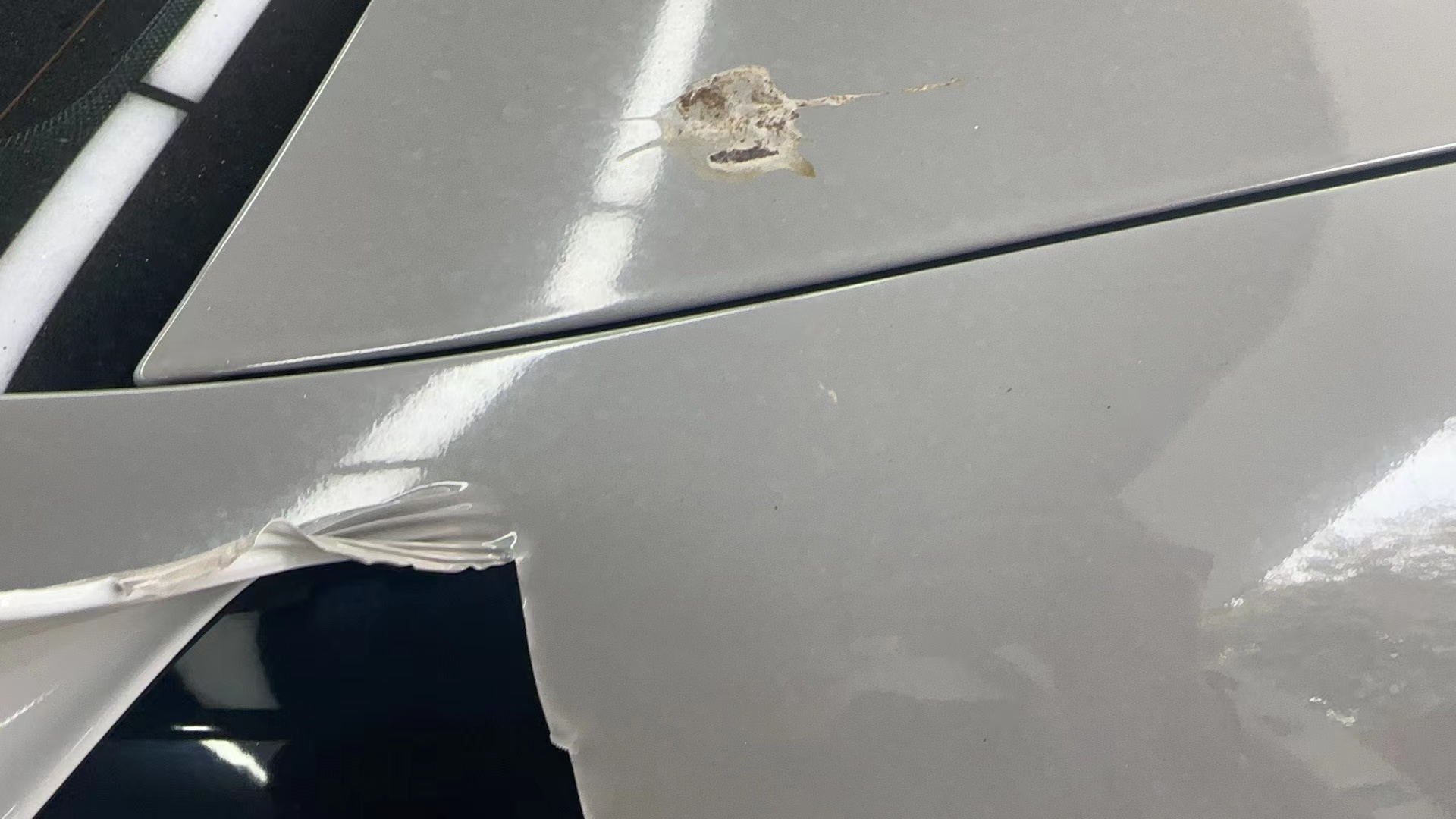 Ravoony Plus PET High Gloss Light Nardo Grey Wrap review Andre W 04