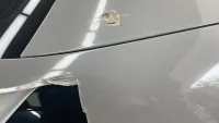 Ravoony Plus Gloss Light Nardo Grey Wrap review 3