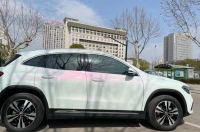  Ravoony Plus Glossy White to Pink Car Wrap review 0