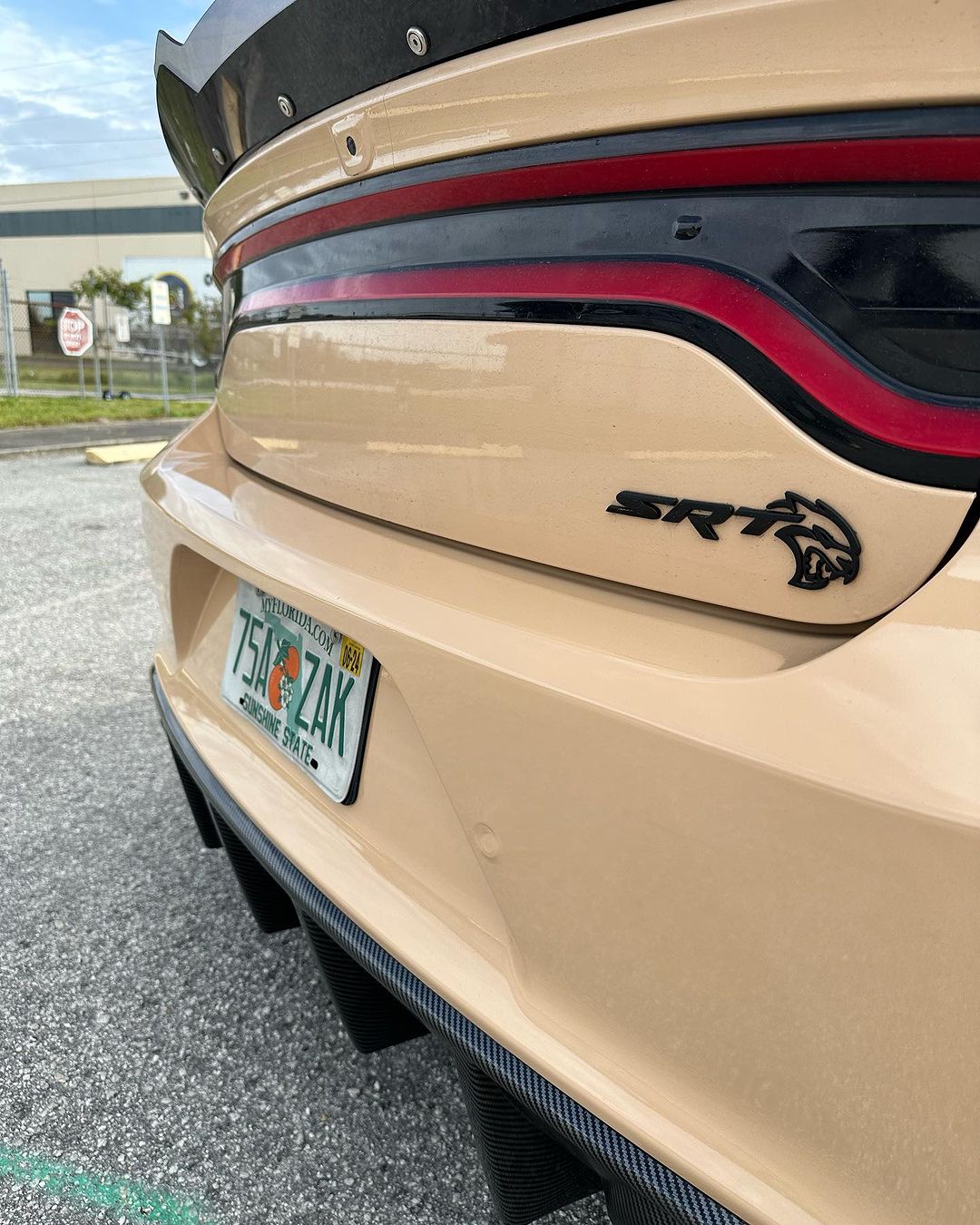 Ravoony Plus PET Gloss Sandstorm Car Wrap review Torsten Mayer 02