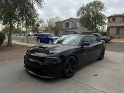 Ravoony Plus Gloss Nardo Grey Wrap review David Barilla 01
