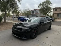 Ravoony Plus Gloss Nardo Grey Wrap review David Barilla 01