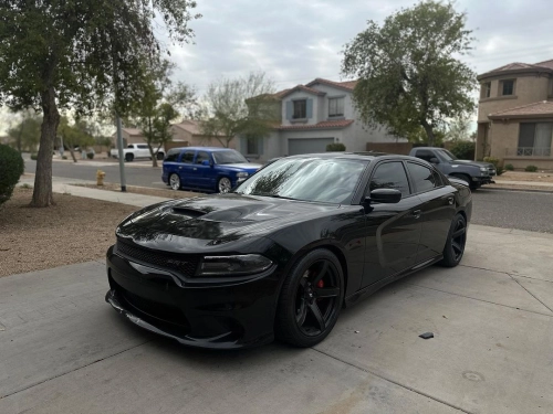 Ravoony Plus PET Gloss Nardo Grey Wrap review 