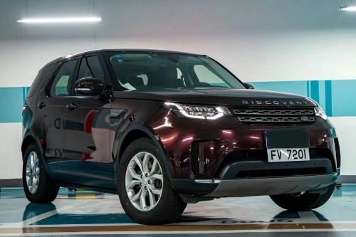 Ravoony Plus PET Gloss Black Rose Vinyl Wrap review 