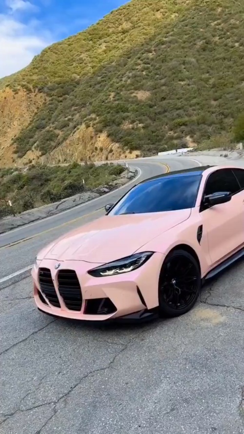 Ravoony Plus Twin Magic Pink Car Vinyl Wrap review loik paré