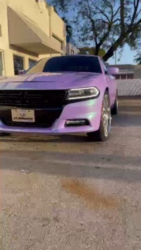 Ravoony Plus Twin Candy Purple Green Car Wrap review Matthew