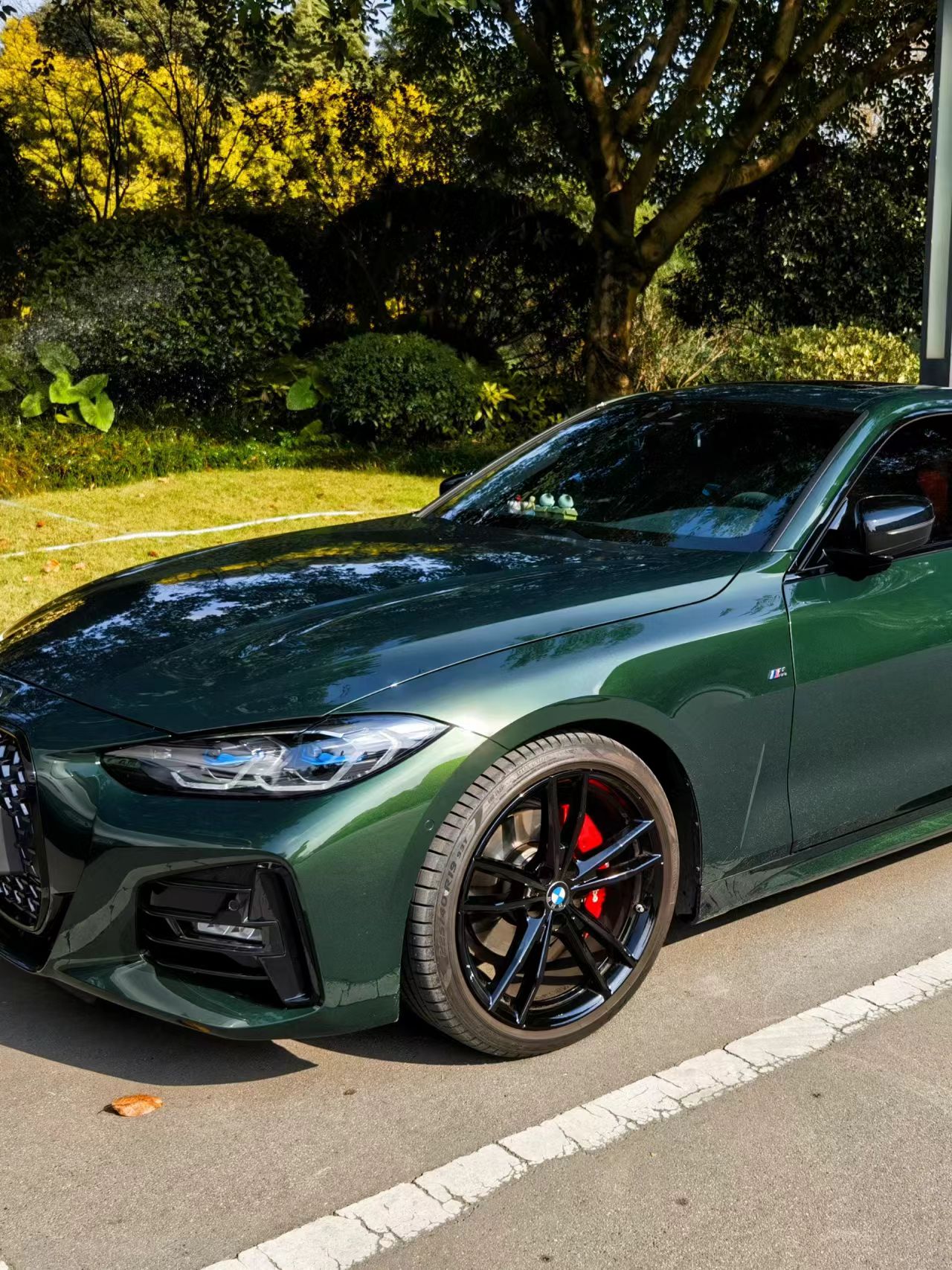 Ravoony Plus Blackish Green Car Vinyl Wrap review Simon Sonet 01