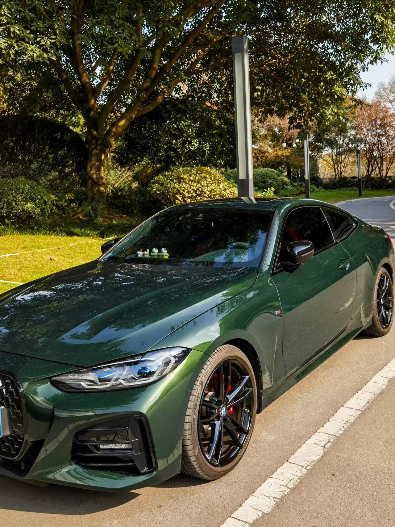Ravoony Plus Blackish Green Car Vinyl Wrap review Simon Sonet 00
