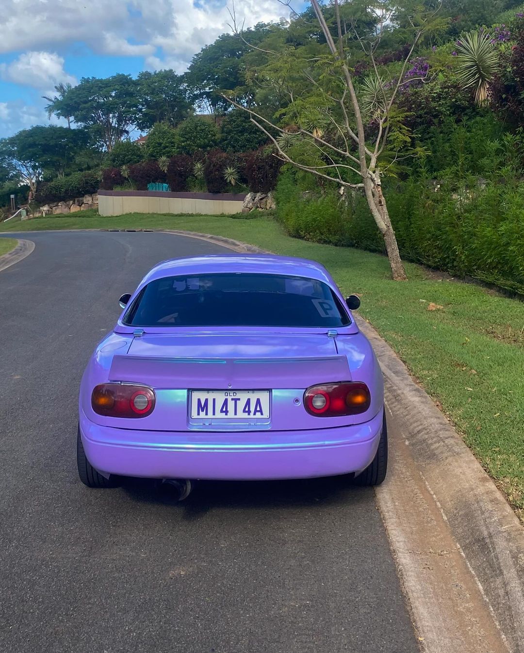 Ravoony Plus Twin Candy Purple Green Car Wrap review Bastian John 04