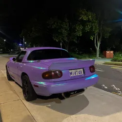 Ravoony Plus Twin Candy Purple Green Car Wrap review Bastian  John 02