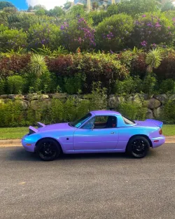 Ravoony Plus Twin Candy Purple Green Car Wrap review Bastian  John 04