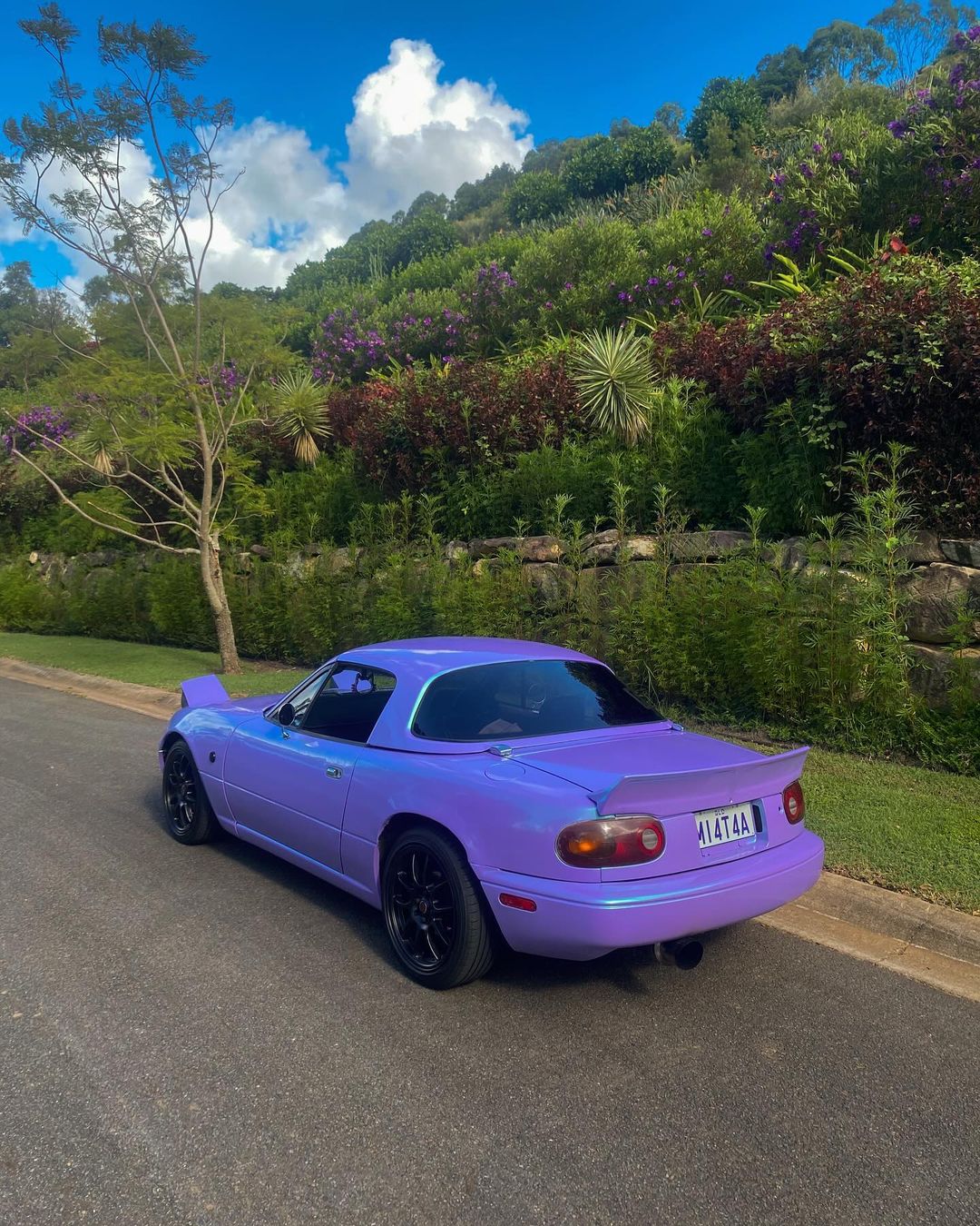 Ravoony Plus Twin Candy Purple Green Car Wrap review Bastian John 05