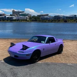 Ravoony Plus Twin Candy Purple Green Car Wrap review Bastian  John 01