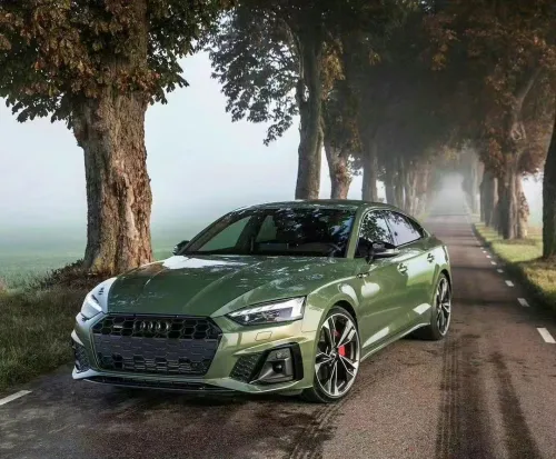 Ravoony Plus PET Gloosy Dazzling Night Green Car Wrap review 