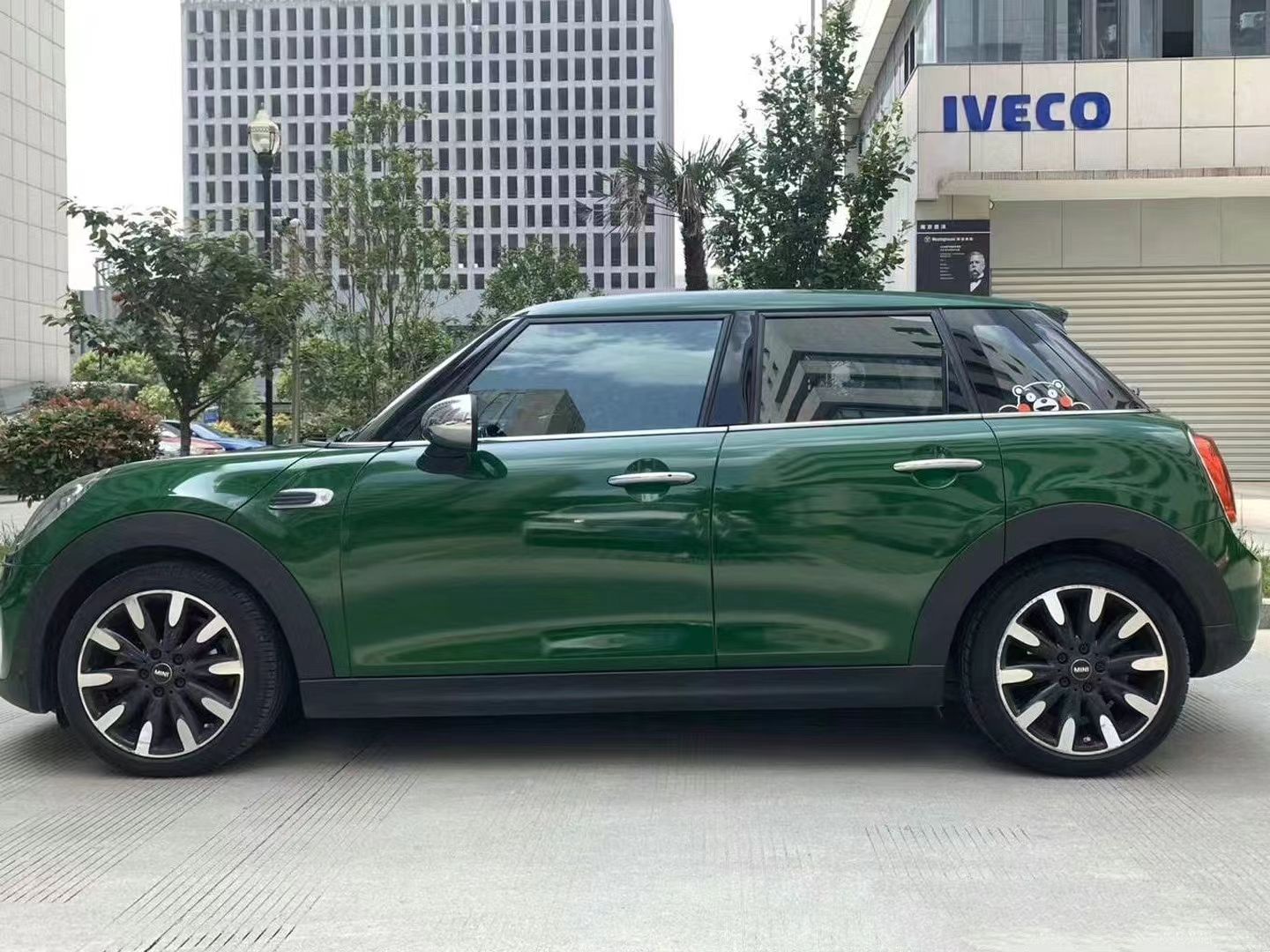 Ravoony Plus Glossy Forest Green Car Wrap review Anne Stocker-Wolf