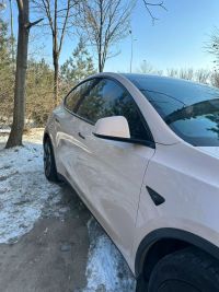 Ravoony Plus Glossy First Love Pink Car Vinyl Wrap review 2
