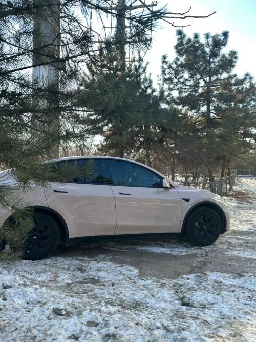 Ravoony Plus PET Glossy First Love Pink Car Vinyl Wrap review 