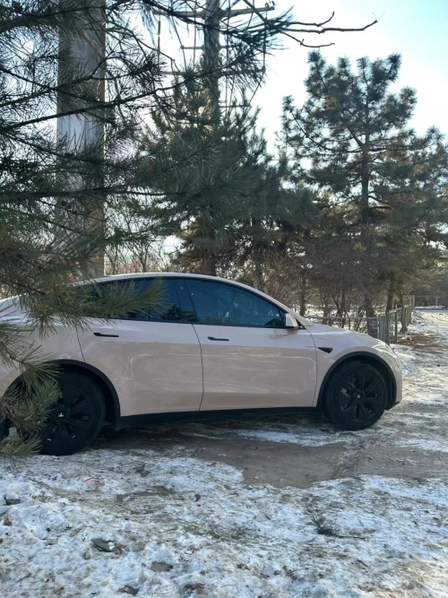 Ravoony Plus PET Glossy First Love Pink Car Vinyl Wrap review 