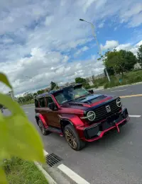 Ravoony Plus Matte Chrome Romanee Red Vinyl Car Wrap review 0